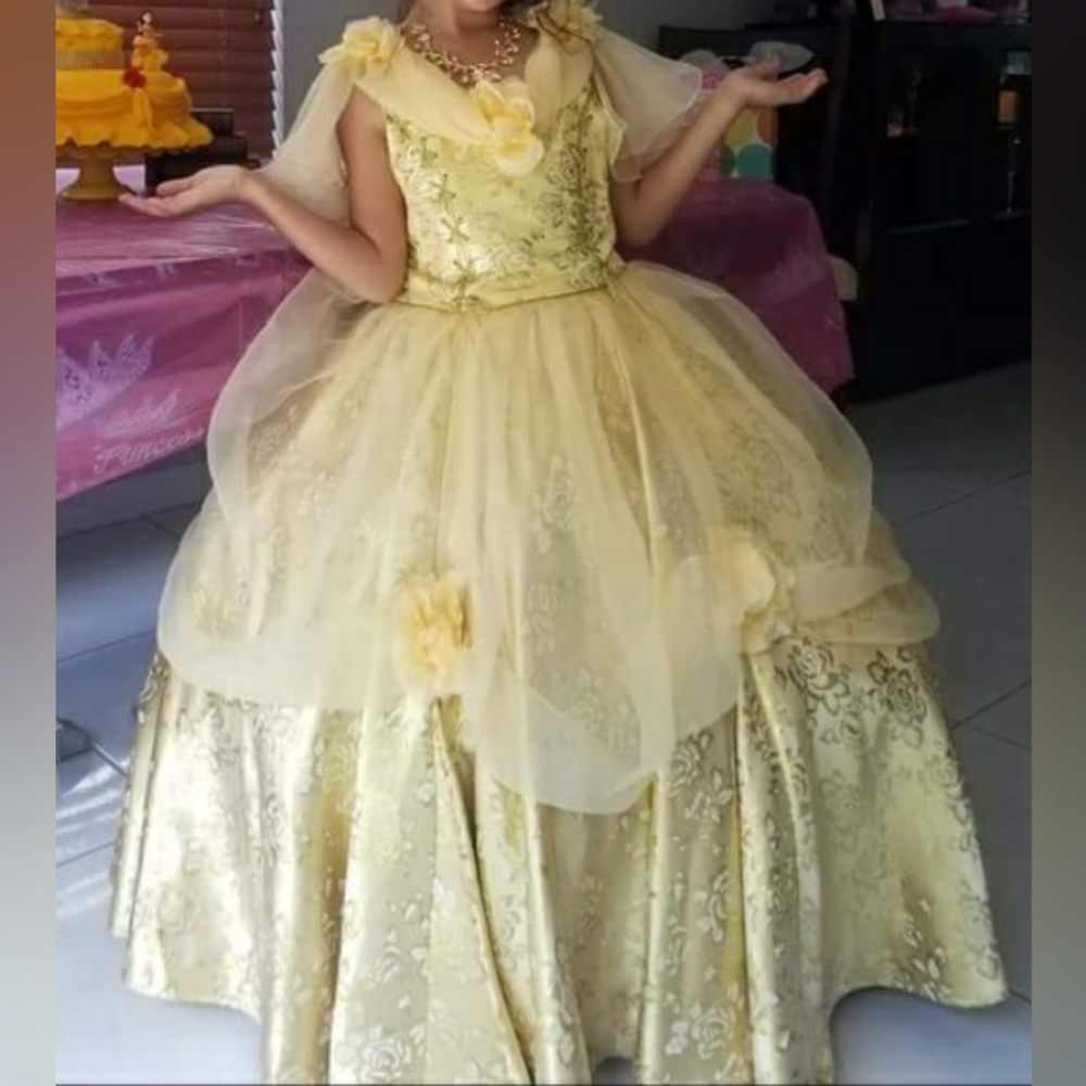 Disney Chasing Fireflies Belle Dress Costume